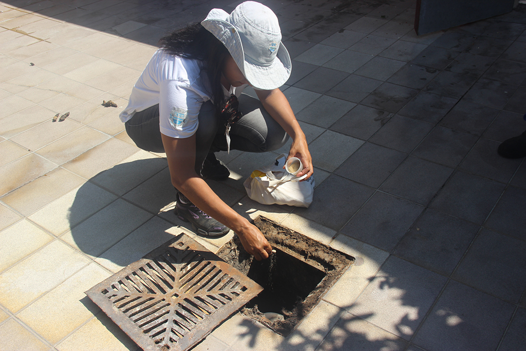 Mutirões aos sábados superam 21 mil vistorias