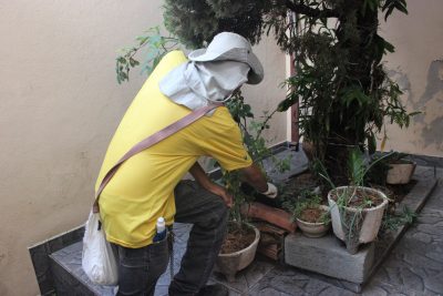 Taubaté mantém combate ao Aedes aegypti no inverno