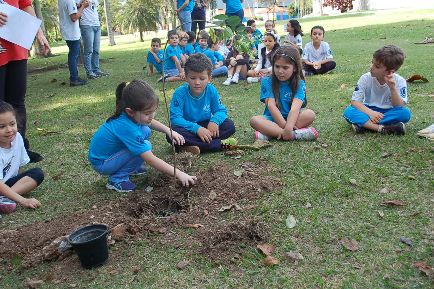Alunos do colégio CEMI plantam mudas de árvores no Parque Jardim das Nações