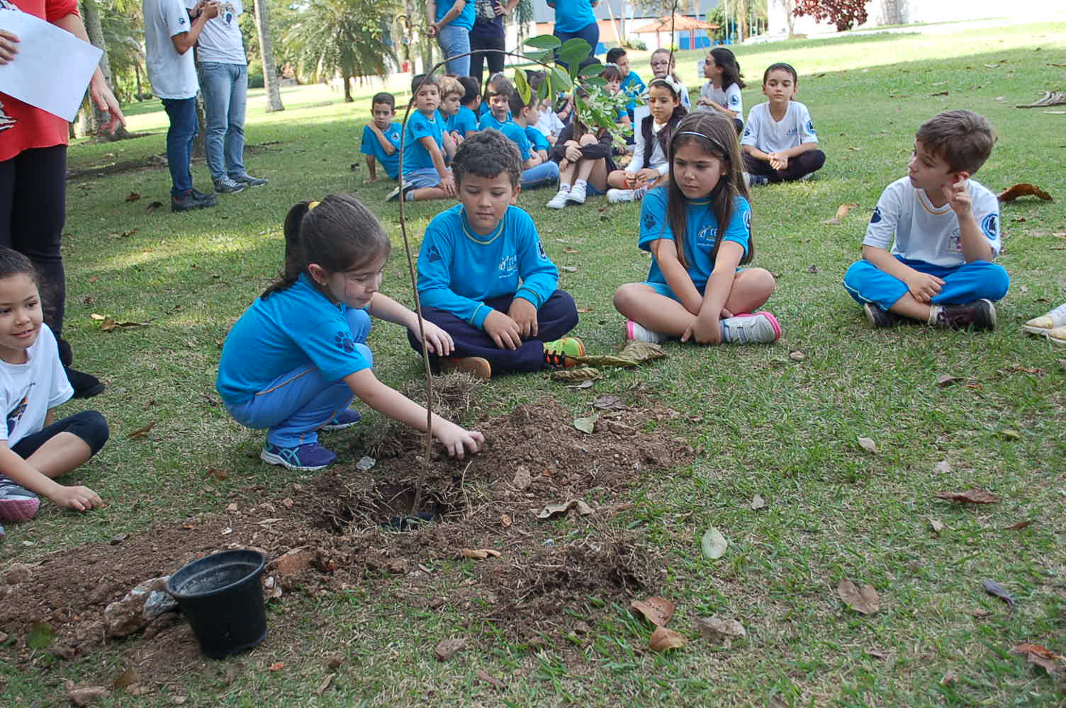 Alunos do colégio CEMI plantam mudas de árvores no Parque Jardim das Nações