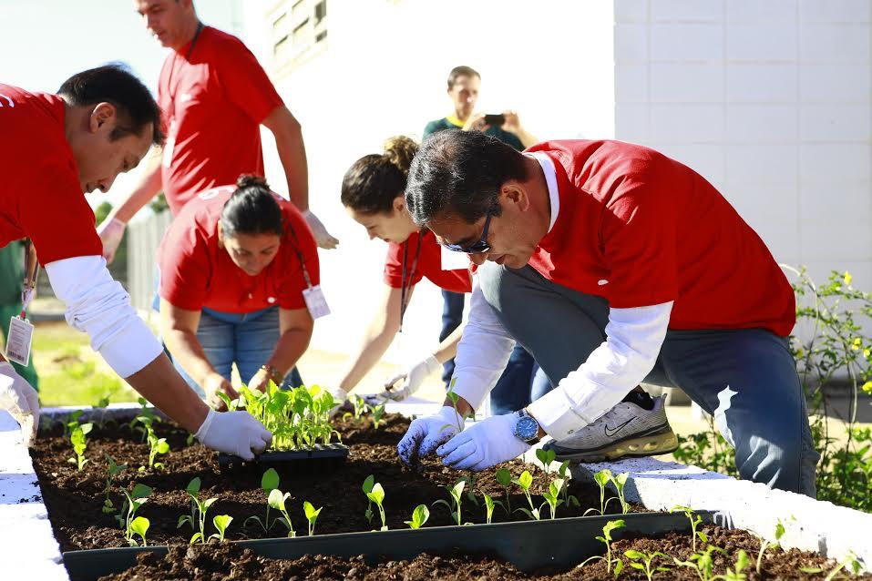 Escola Madre Cecília ganha seis hortas e um pomar