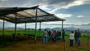 Programa Campo Forte faz visita técnica