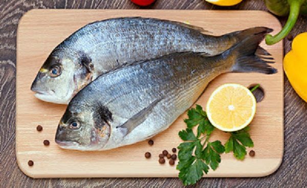 Metais pesados encontrados em peixes prejudicam a saúde e dificultam absorção de ômega 3
