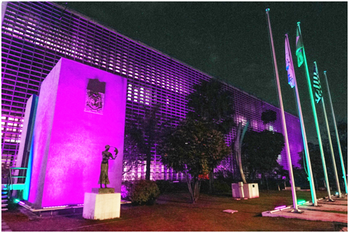 Assembleia Legislativa adere ao Agosto Violeta