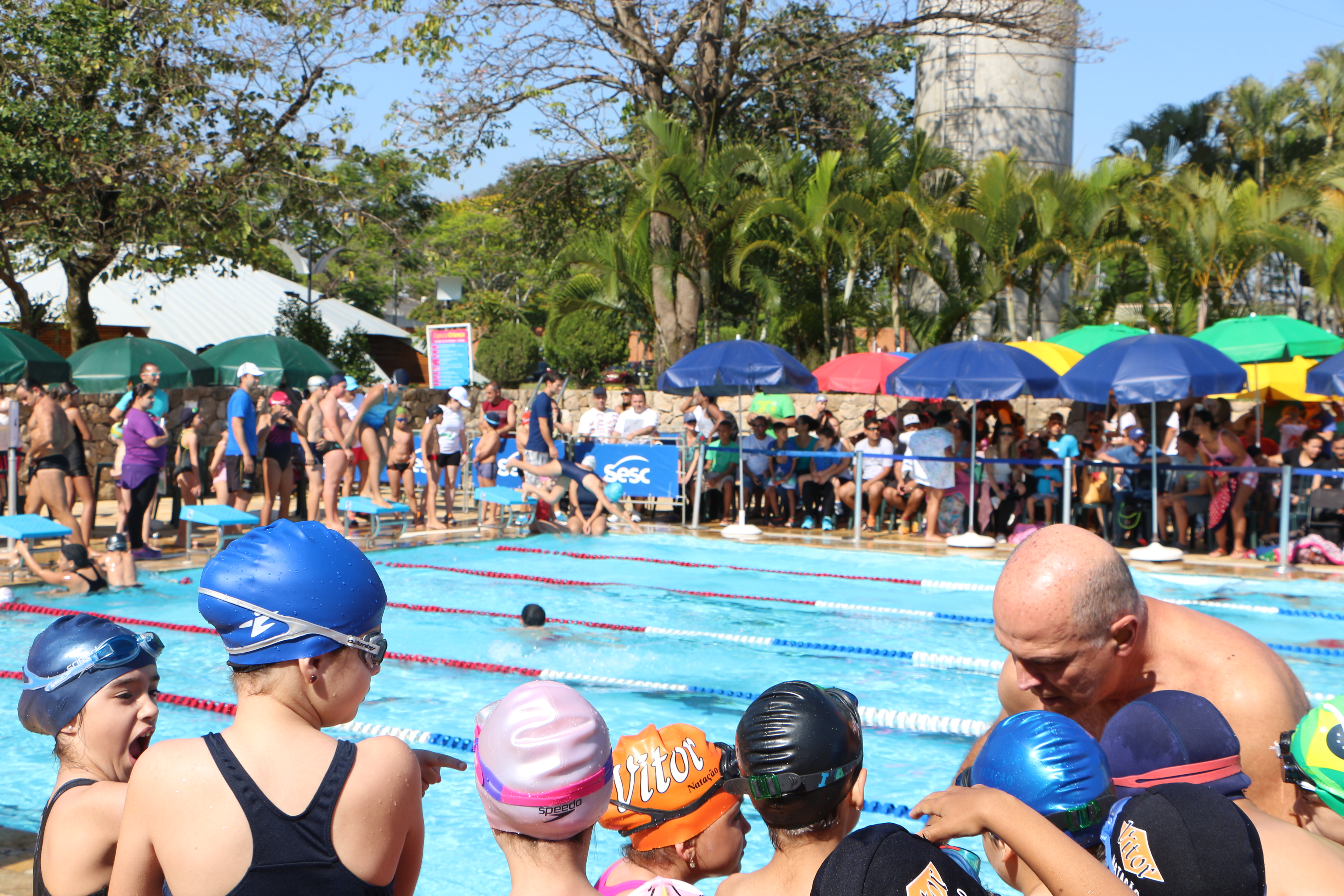 Sesc Taubaté tem festival de natação gratuito na semana Move
