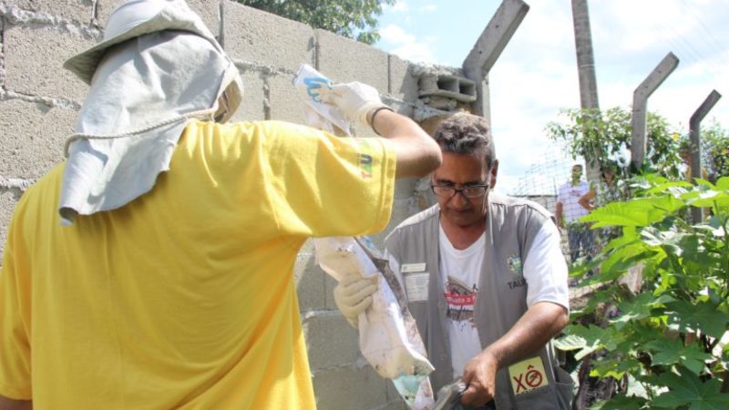 Alto São Pedro e Jardim América recebem campanha  Xô Escorpião