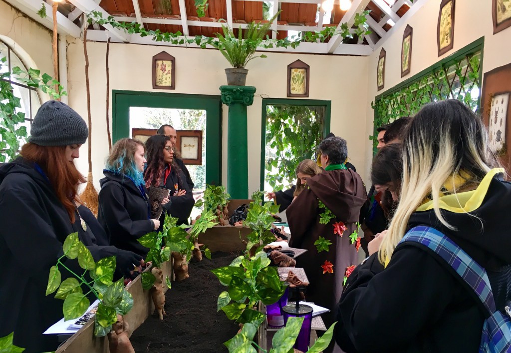 O Pátio Pinda em universo inspirado na série Harry Potter