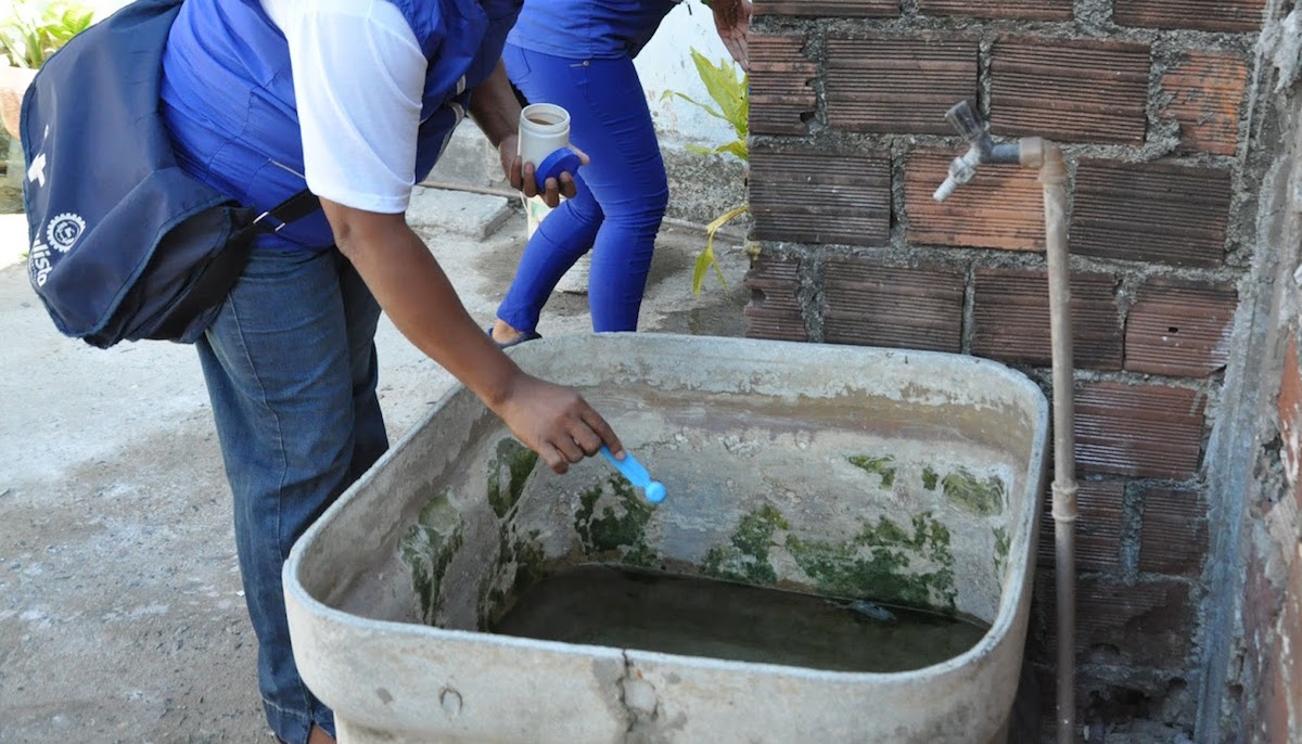 Estado de São Paulo tem sete mortes por dengue em 2024