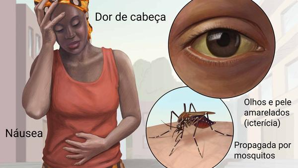 Brasil confirma 353 casos e 98 mortes por Febre Amarela desde julho de 2017