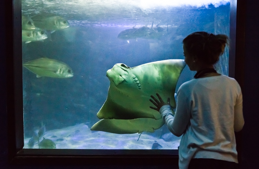 Aquário de Ubatuba comemora 22 anos