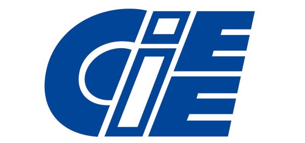 CIEE lança plataforma Saber Virtual