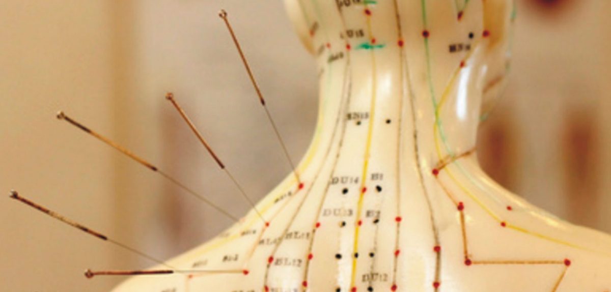Ministério da Saúde inclui 10 novas práticas integrativas no SUS