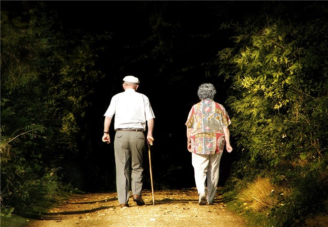 Mantido veto a Conselho Municipal do Idoso