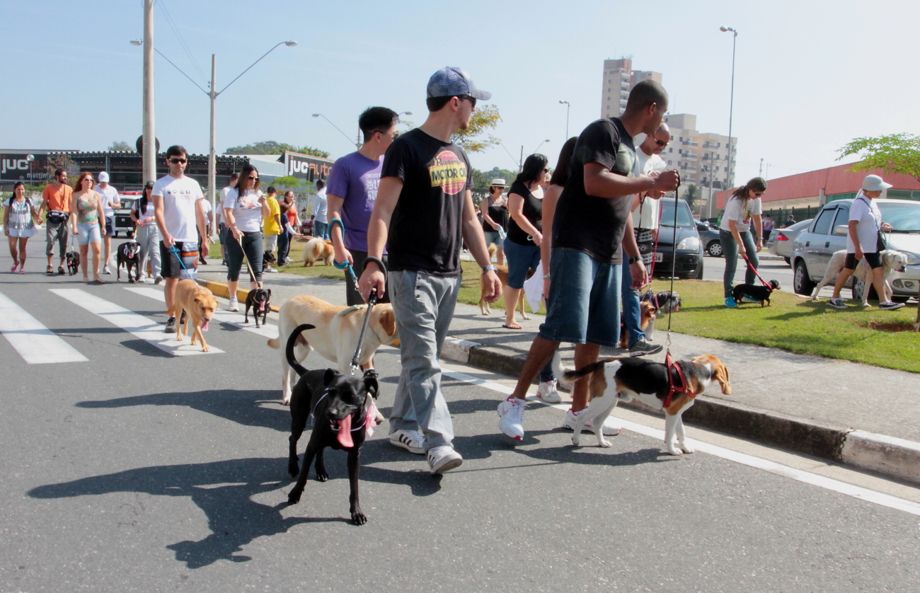 1ª Virada Animal de Jacareí reúne ações de conscientização, diversão e gastronomia
