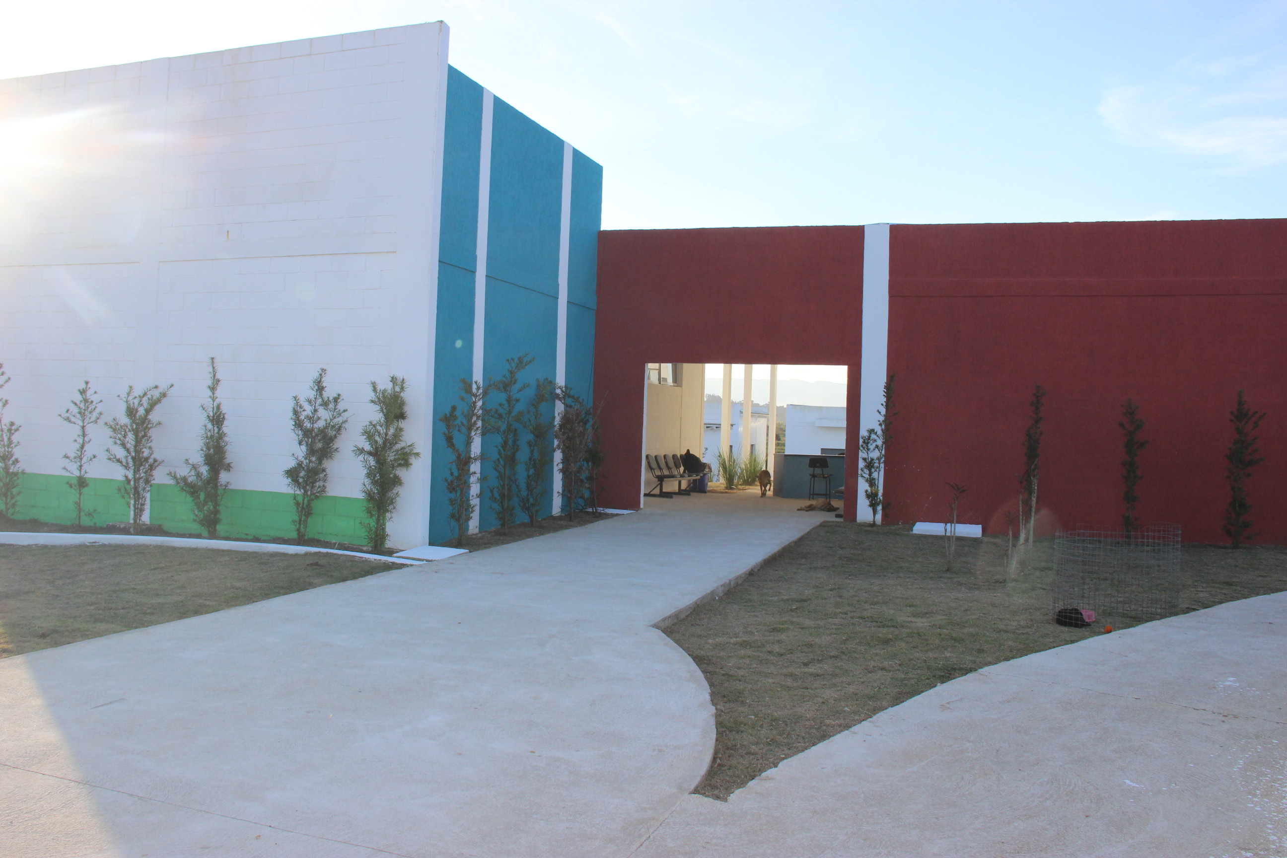 CCZ orienta para correta informação sobre encontro de primatas mortos