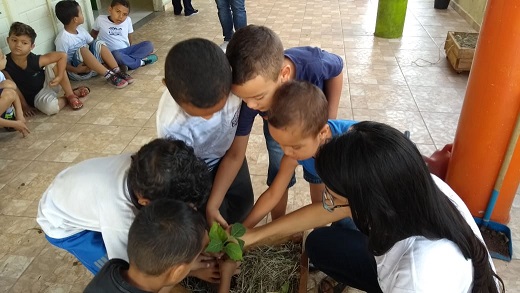 Fibria viabiliza horta para creche de Jacareí e leva ações de educação ambiental para 160 crianças