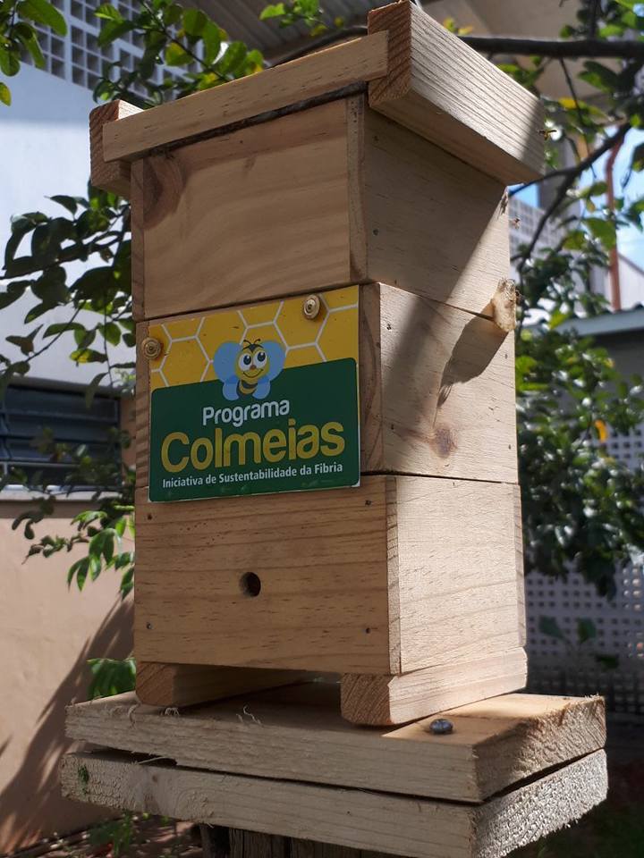 Alunos fazem meliponário em escola municipal de Jacareí