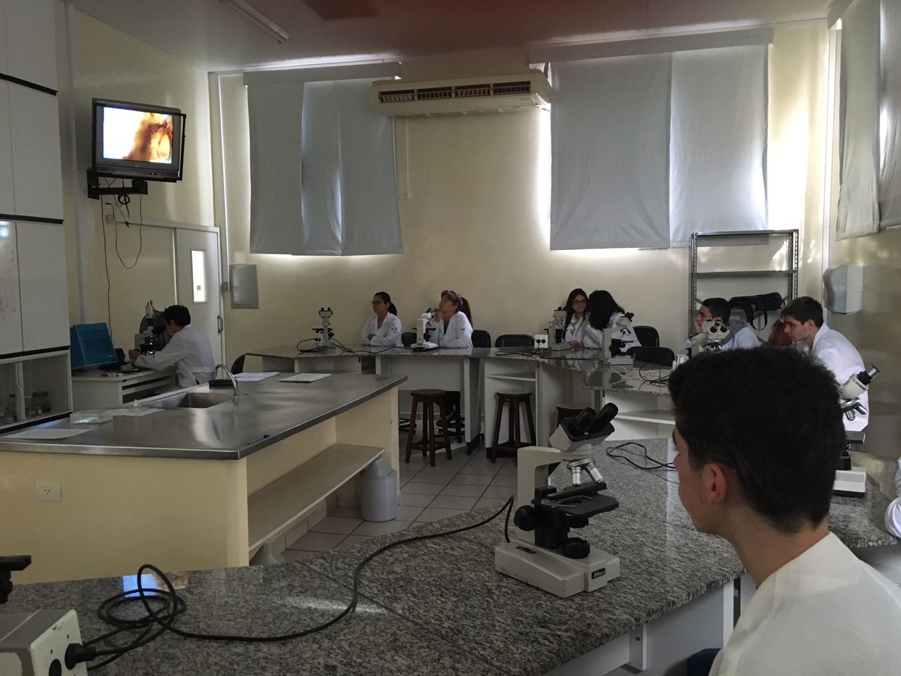 Pesquisa estuda a manutenção do vírus da dengue em Taubaté