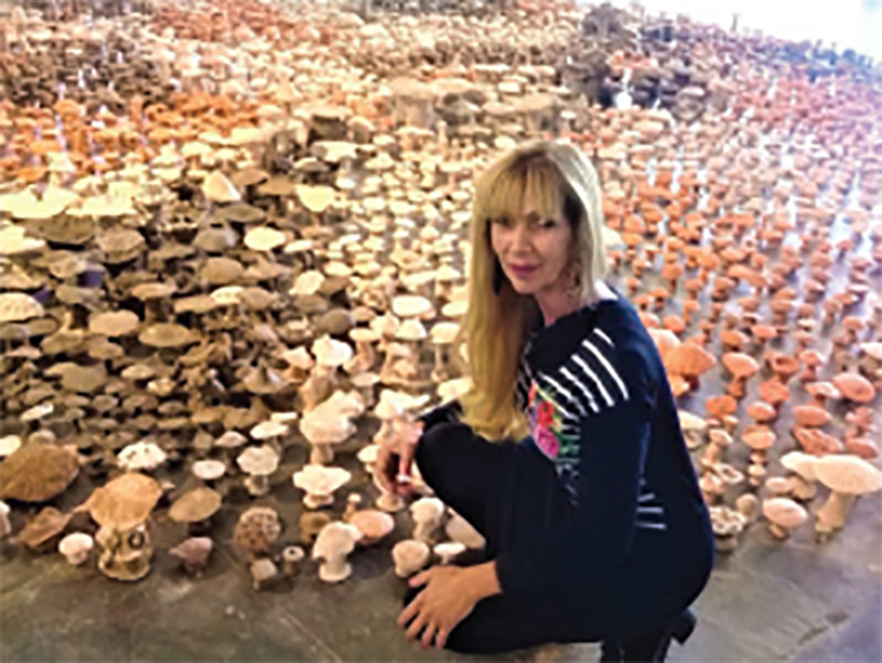 Visita Cultural na 33ª Bienal de Artes e no MAC