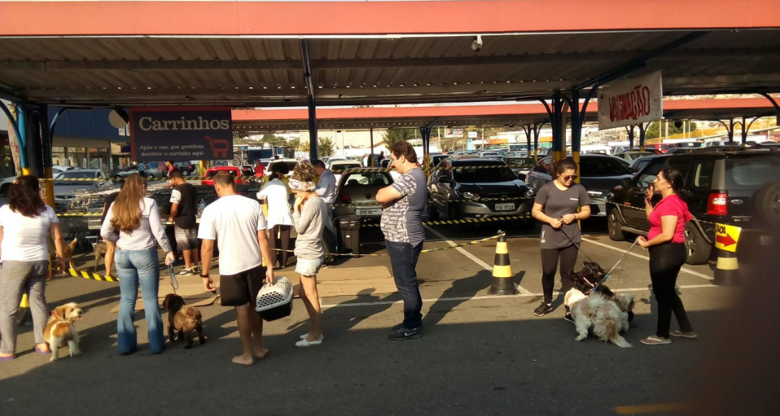 Taubaté prorroga campanha de vacinação antirrábica