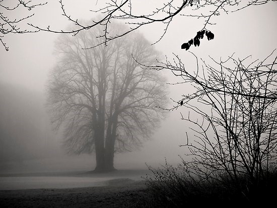 Sob os rigores do inverno