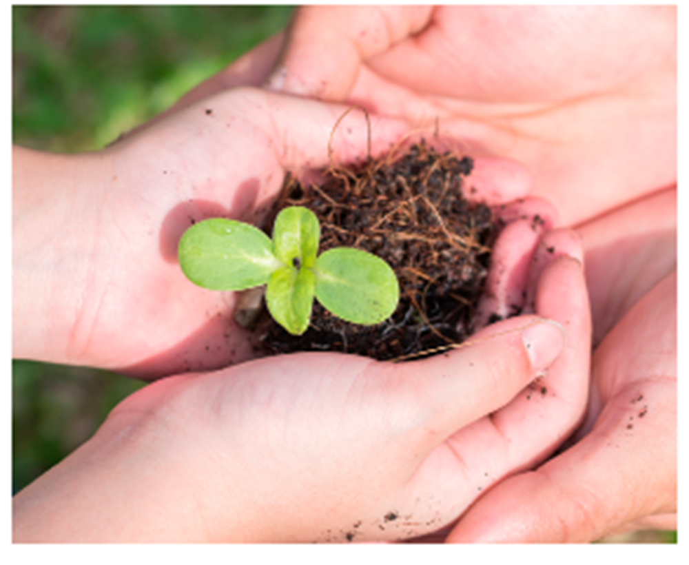 Projeto de educação ambiental da Prefeitura de Jacareí recebe apoio da Fibria