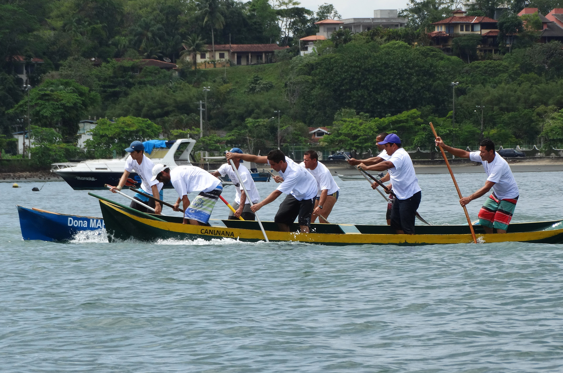 TAMAR celebra 28 anos e parceria na proteção às tartarugas marinhas com a Corrida de Canoas “Amigo Pescador”