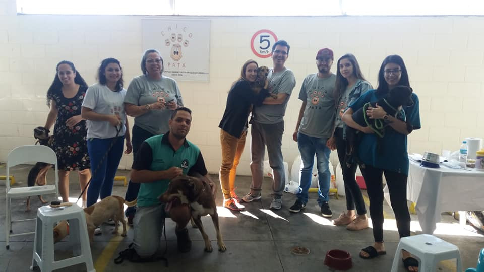 ONG promove feira de adoção de animais do CCZ
