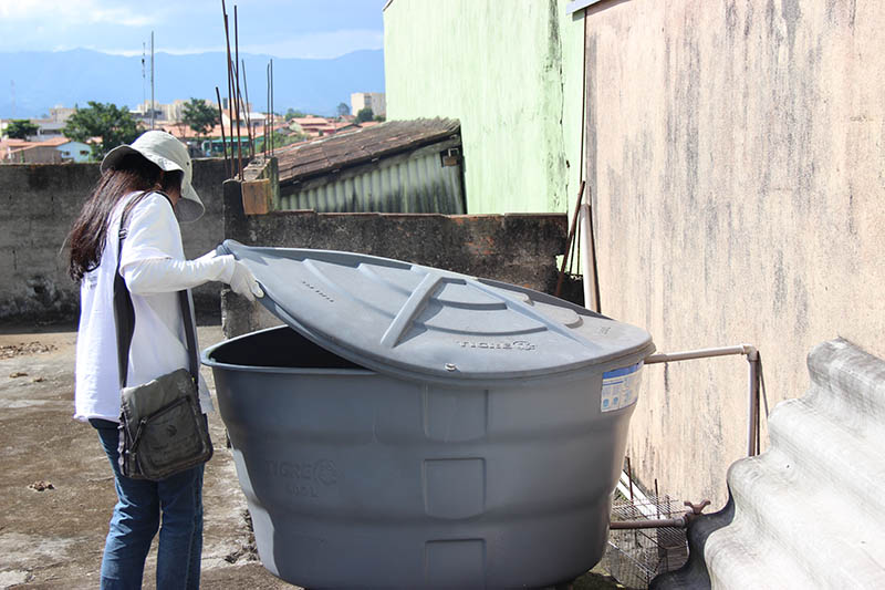 Taubaté chega ao verão com redução de casos de dengue