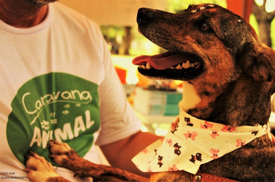 Horto de Taubaté recebe Caravana Animal