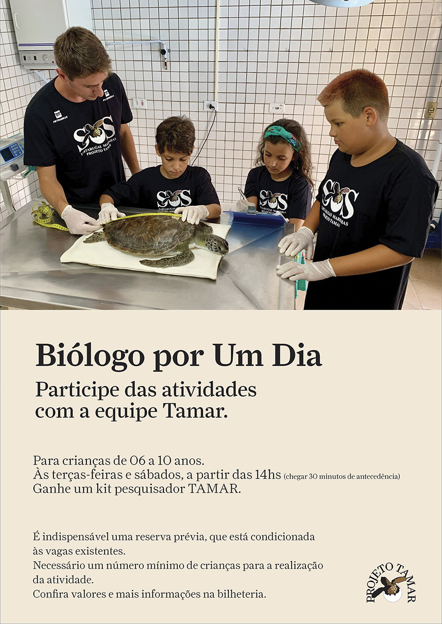Crianças podem ser biólogos por um dia no Projeto Tamar