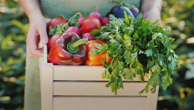 Alimentos orgânicos são melhores para a saúde