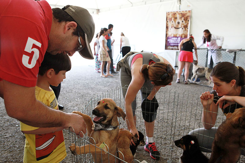 Taubaté Shopping recebe campanha para estimular adoção de animais