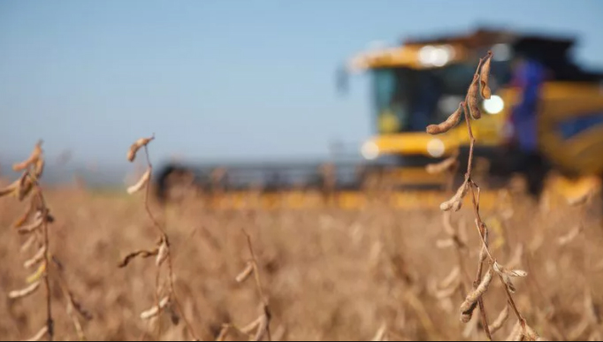 Brasil registra alto número de novos agrotóxicos, este ano