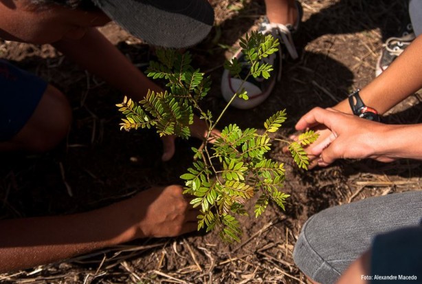 Projeto oferece oportunidade para jovens se aproximarem do meio ambiente