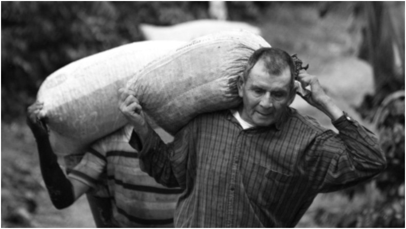 O agro não é pop: a farsa da “revolução verde”