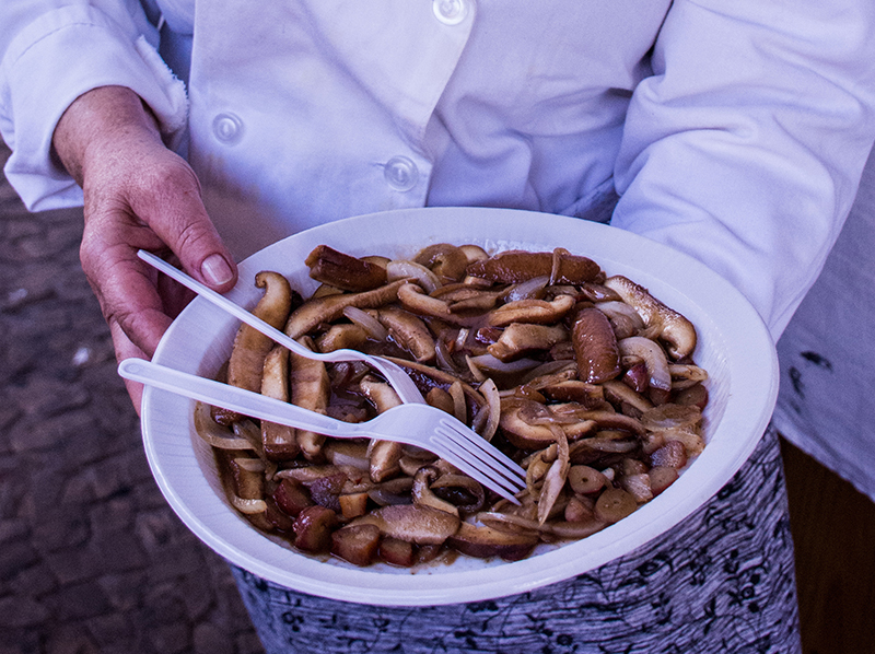 Cunha tem programação musical eclética para a  19ª Festa do Pinhão