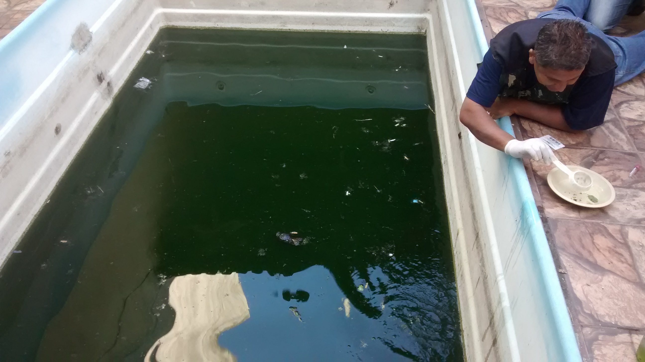 ADL revela lista de criadouros recorrentes