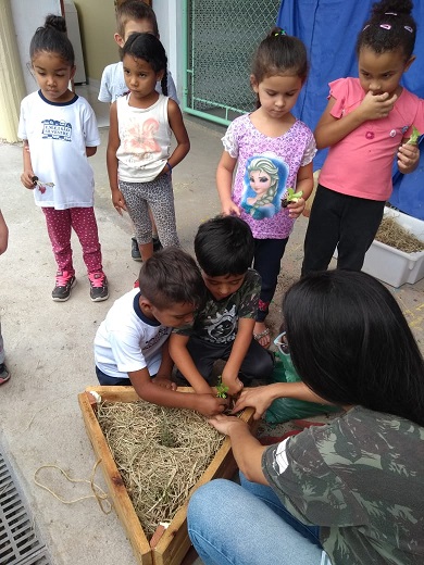 Núcleo de Educação Ambiental da Suzano capacita professores para criação de horta móvel em creche de Jacareí