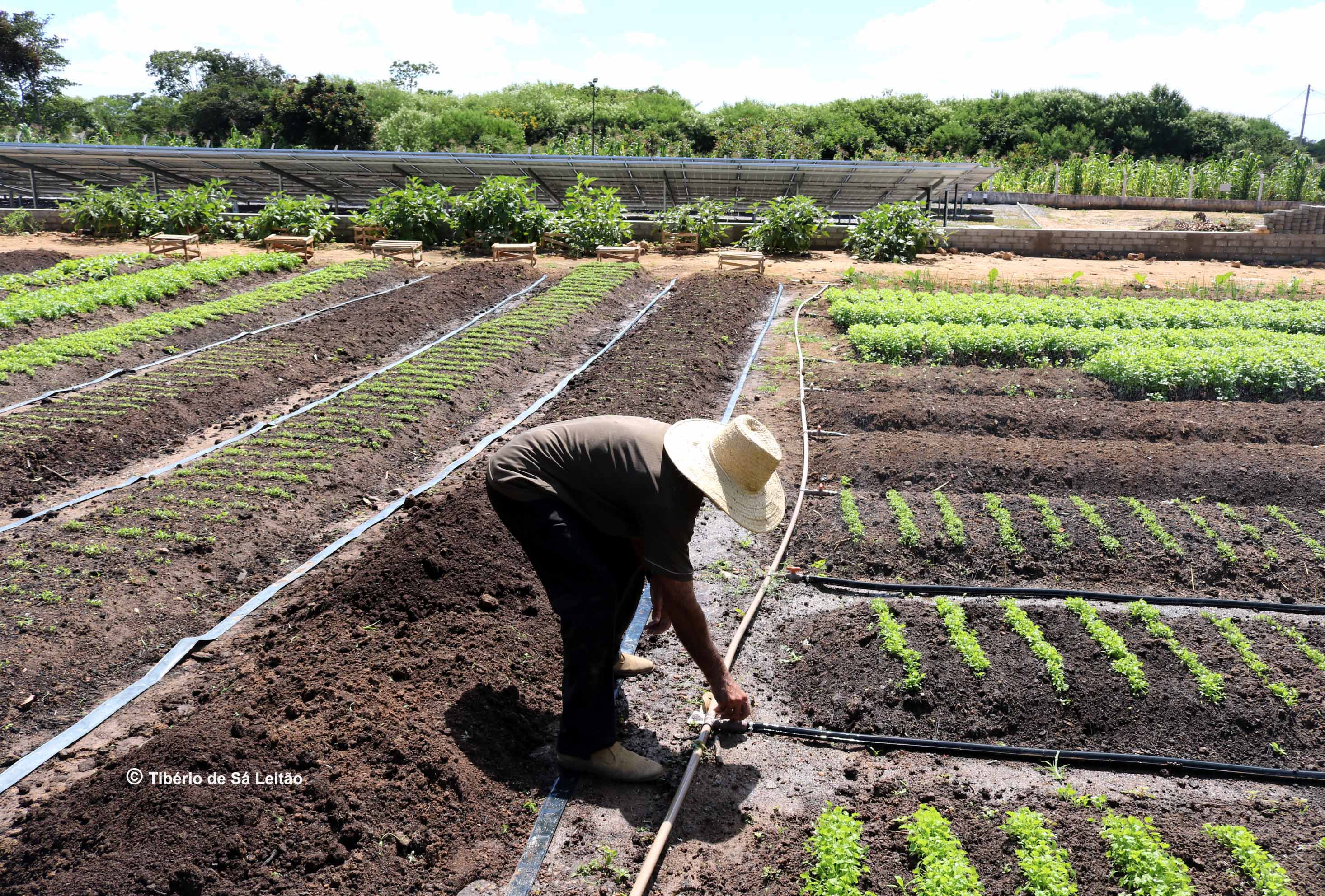 Energia Solar – benefício ecossistêmico e vantagem social
