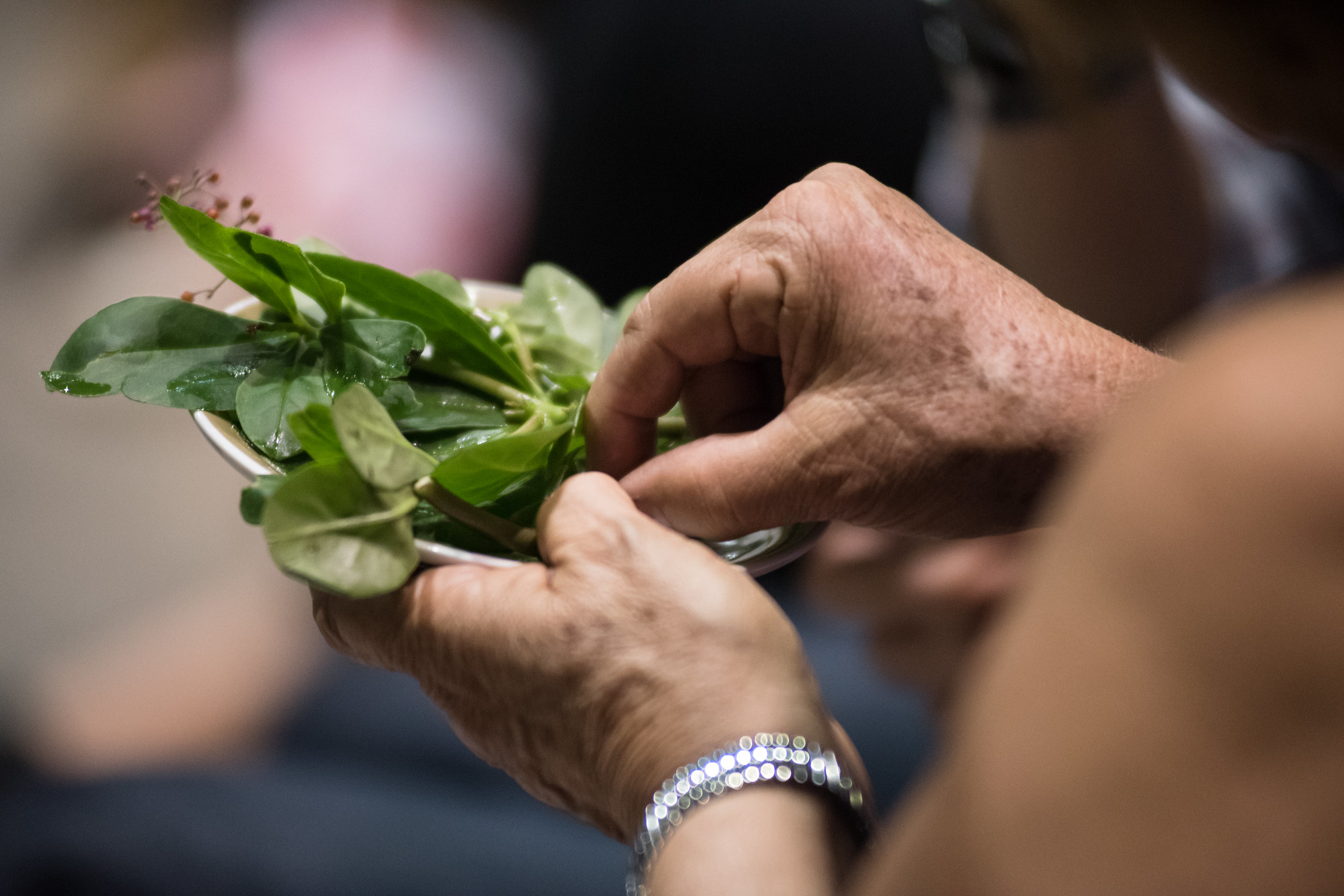 Unidades do Sesc em SJC e Taubaté oferecem curso de introdução à agricultura natural e oficina de manejo da floresta comestível