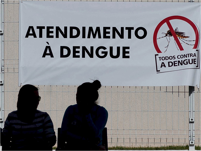Brasil registra 366 mortes por dengue, o dobro de 2018