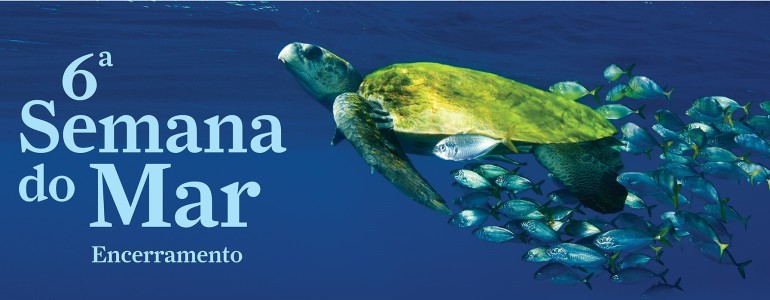 Encerramento da 6ª Semana do Mar conta com atividades na Praça da Baleia, no Aquário de Ubatuba e Projeto Tamar