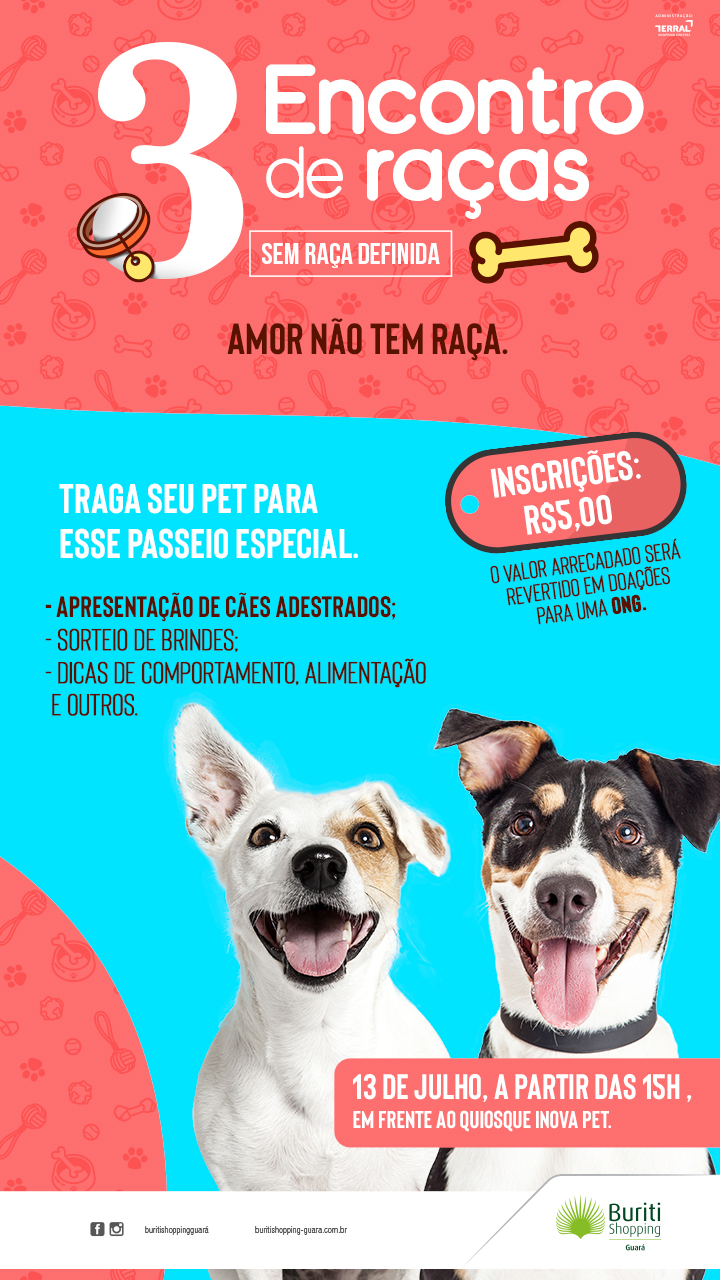 Cães sem raça definida ganham evento especialmente para eles