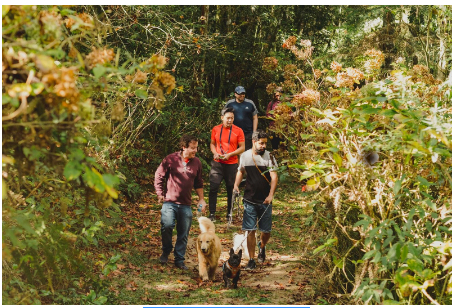 Adestrador de cães de celebridades apresenta primeiro hotel 100% pet friendly do Brasil