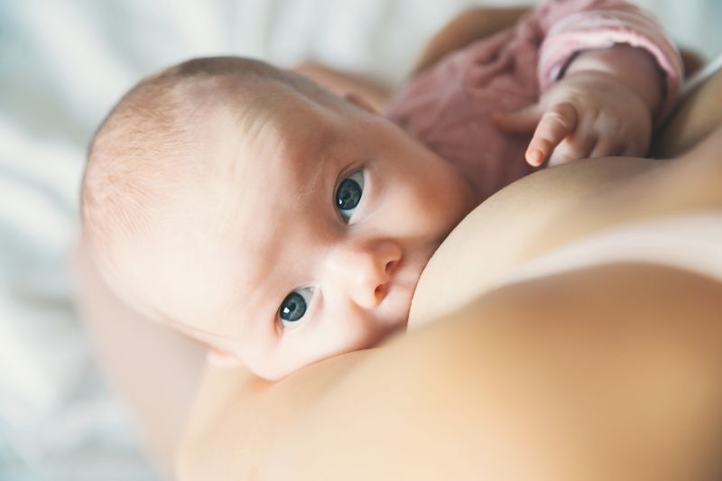 Leite materno é o alimento mais completo para os bebês e favorece o crescimento e o sistema imunológico