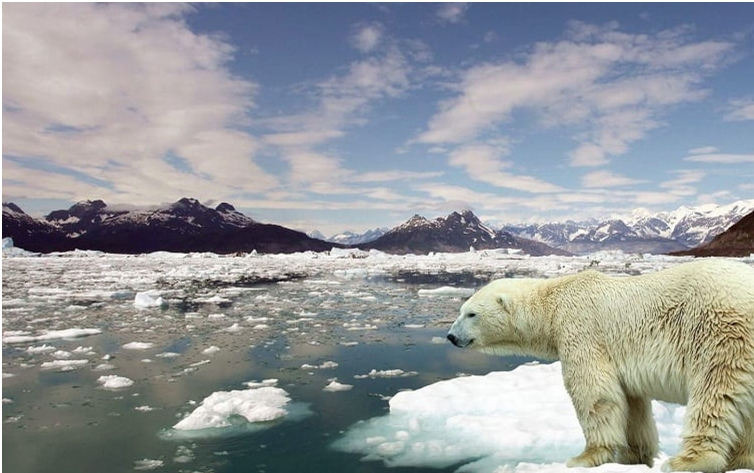 Pesquisa diz que só temos 10 anos para salvar o planeta do aquecimento global