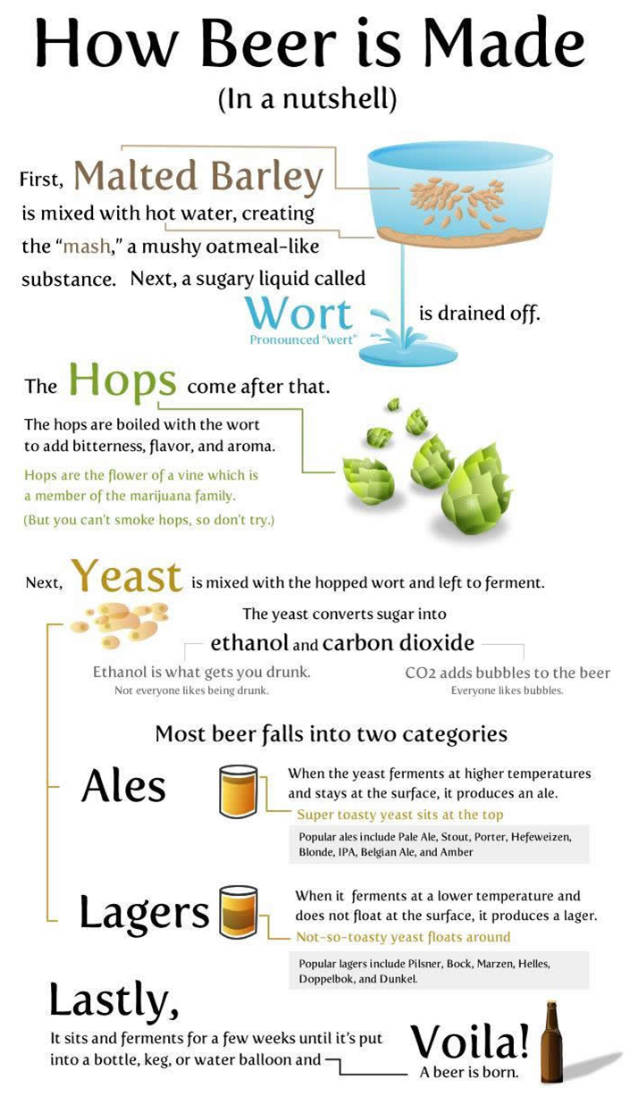 Como fazer cerveja – O Processo de fabricação