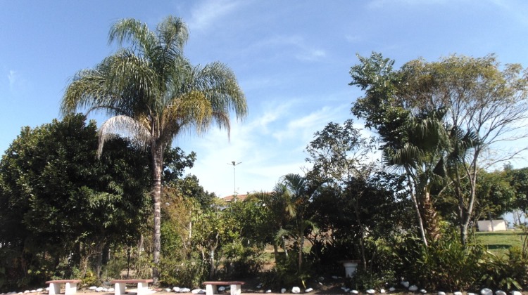 Tremembé ganha áreas verdes comunitárias