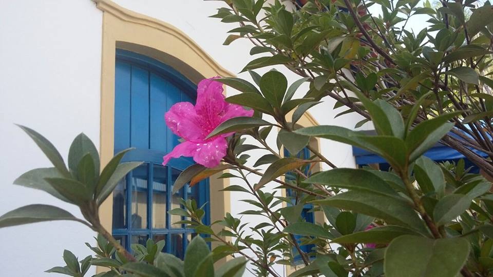 Inscrições abertas para a  V Mostra de Arte da Primavera